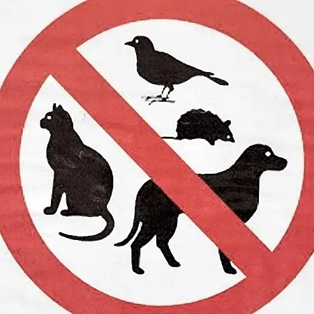 فندق Le Catogne