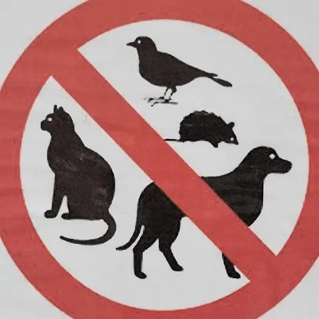 Le Catogne *